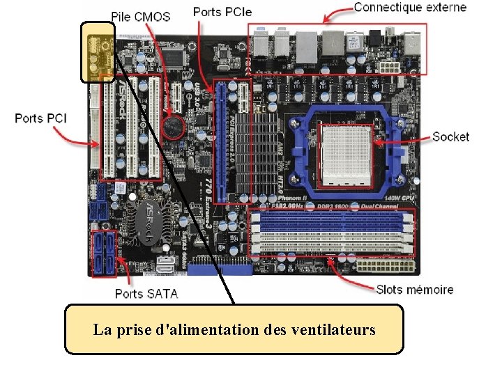 La prise d'alimentation des ventilateurs 