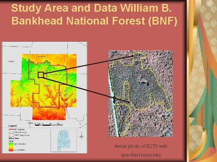 Study Area and Data William B. Bankhead National Forest (BNF) Aerial photo of B