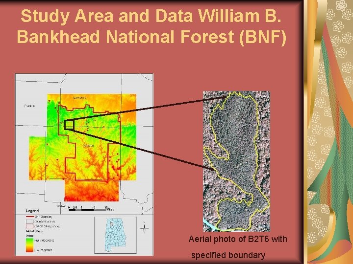 Study Area and Data William B. Bankhead National Forest (BNF) Aerial photo of B