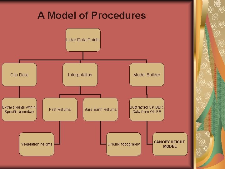A Model of Procedures Lidar Data Points Clip Data Extract points within Specific boundary