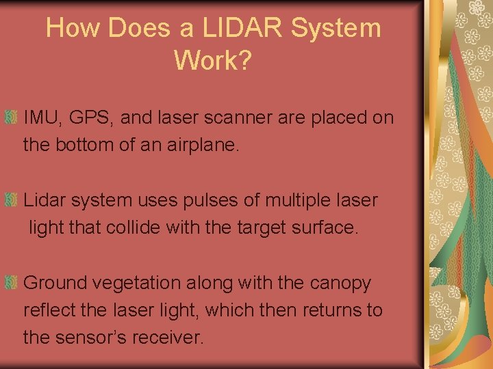 How Does a LIDAR System Work? IMU, GPS, and laser scanner are placed on