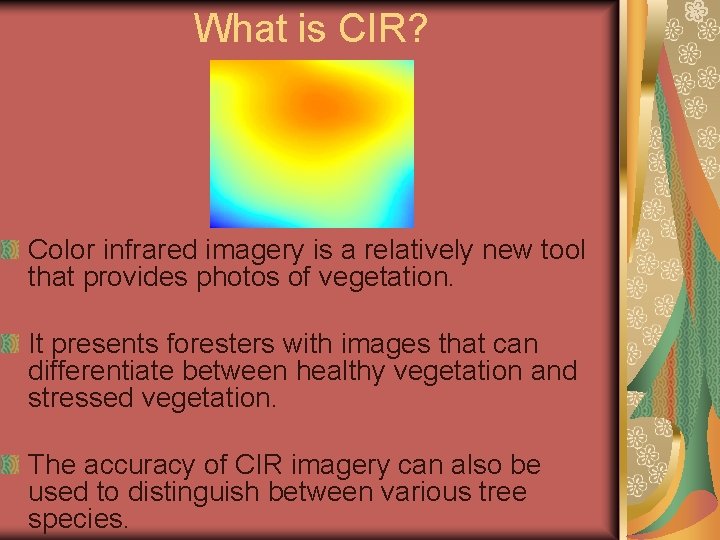 What is CIR? Color infrared imagery is a relatively new tool that provides photos