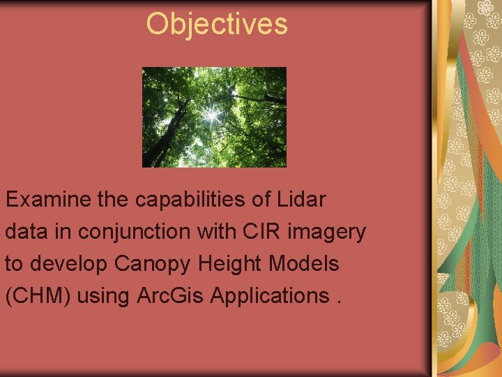 Objectives Examine the capabilities of Lidar data in conjunction with CIR imagery to develop