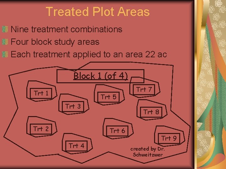 Treated Plot Areas Nine treatment combinations Four block study areas Each treatment applied to