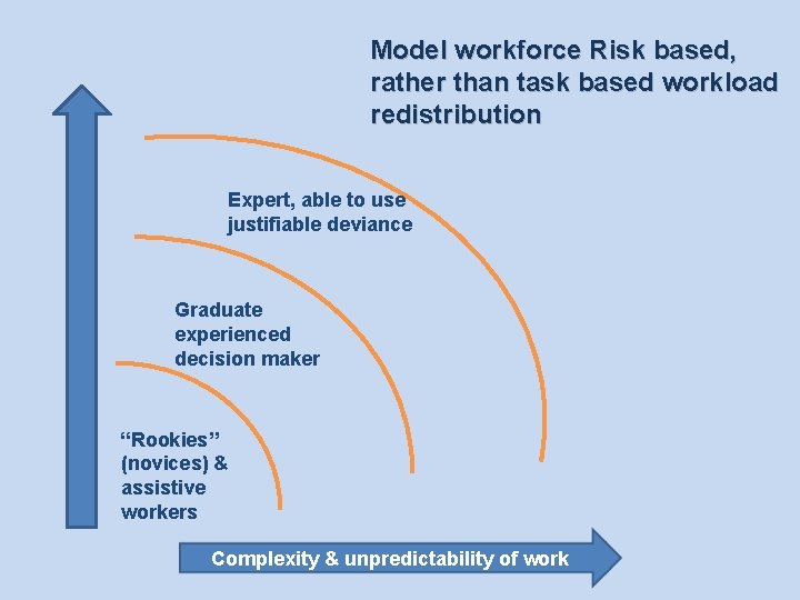 Model workforce Risk based, rather than task based workload redistribution Expert, able to use