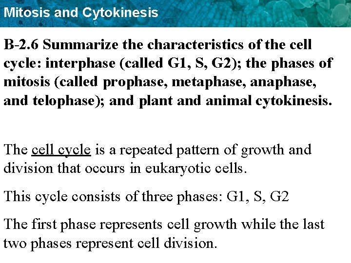 Mitosis and Cytokinesis B-2. 6 Summarize the characteristics of the cell cycle: interphase (called