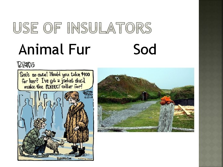 Animal Fur Sod 