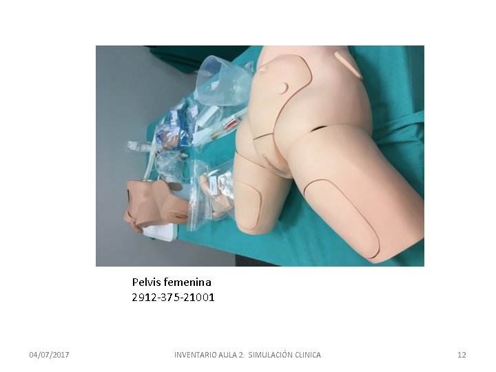 Pelvis femenina 2912 -375 -21001 04/07/2017 INVENTARIO AULA 2. SIMULACIÓN CLINICA 12 