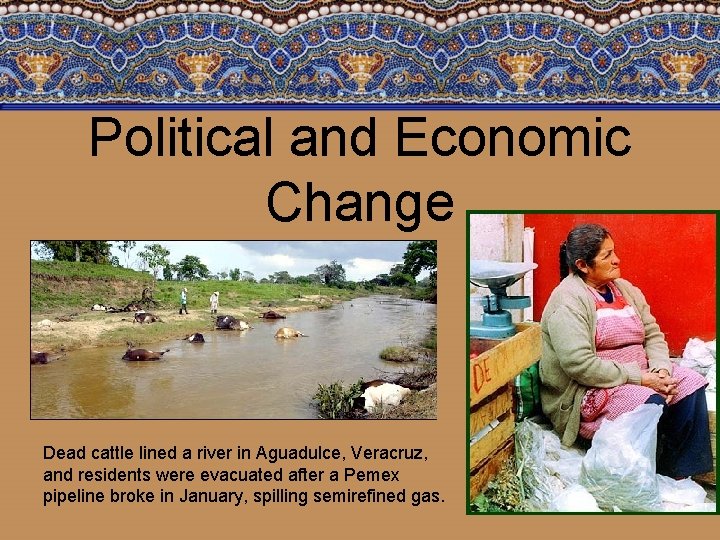 Political and Economic Change Dead cattle lined a river in Aguadulce, Veracruz, and residents