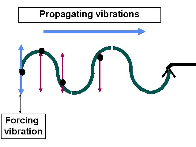 Propagating vibrations Forcing vibration 