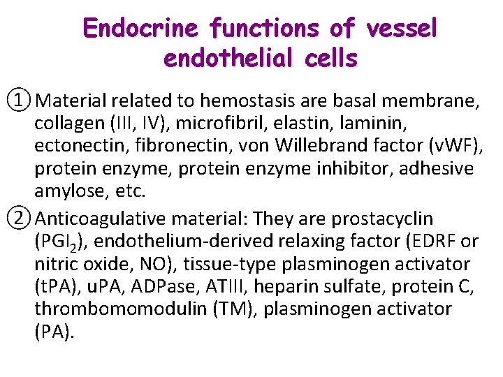 Endocrine functions of vessel endothelial cells ① Material related to hemostasis are basal membrane,