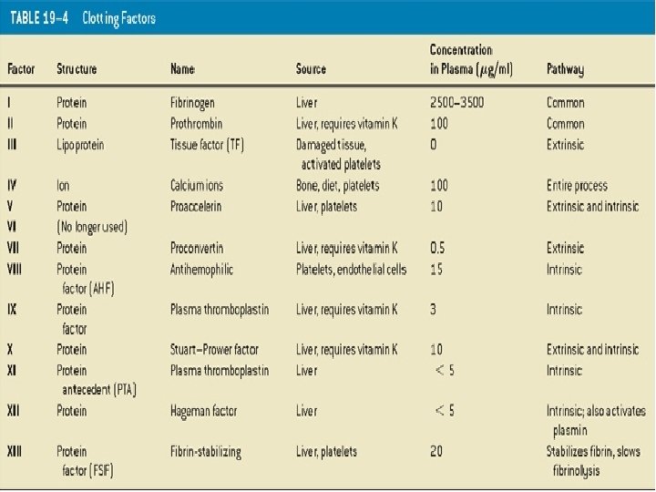 Table 19– 4 