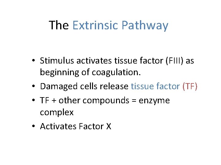 The Extrinsic Pathway • Stimulus activates tissue factor (FIII) as beginning of coagulation. •