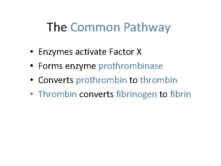 The Common Pathway • • Enzymes activate Factor X Forms enzyme prothrombinase Converts prothrombin