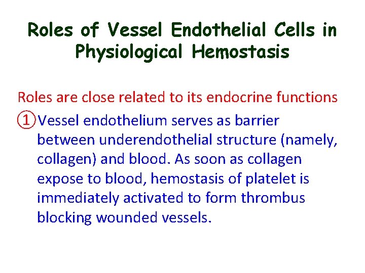 Roles of Vessel Endothelial Cells in Physiological Hemostasis Roles are close related to its