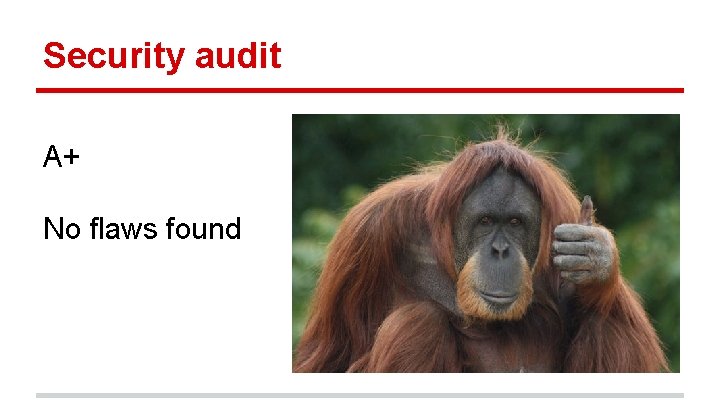 Security audit A+ No flaws found 