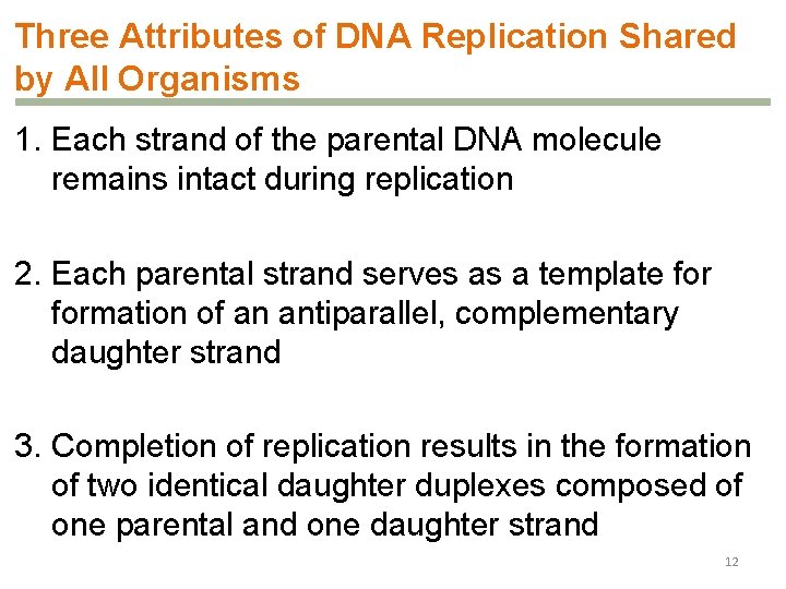 Three Attributes of DNA Replication Shared by All Organisms 1. Each strand of the