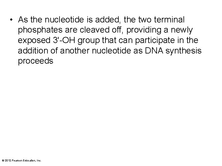  • As the nucleotide is added, the two terminal phosphates are cleaved off,