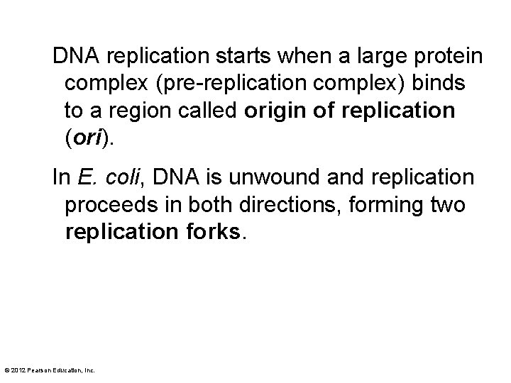 DNA replication starts when a large protein complex (pre-replication complex) binds to a region