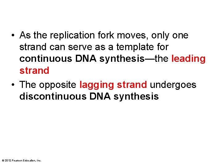  • As the replication fork moves, only one strand can serve as a