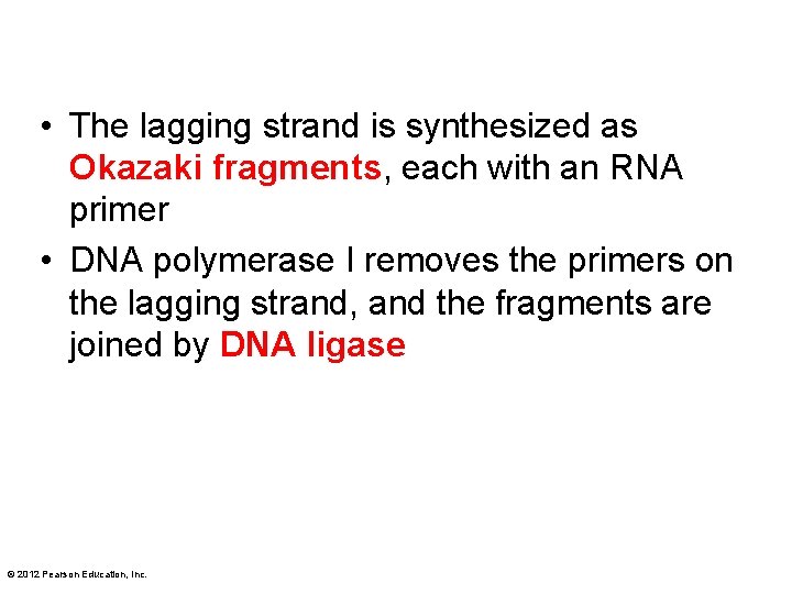  • The lagging strand is synthesized as Okazaki fragments, each with an RNA