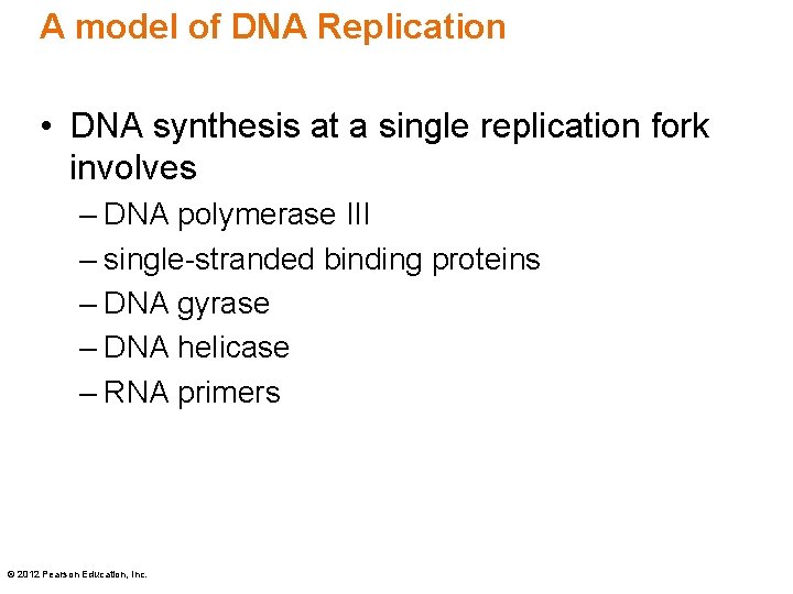 A model of DNA Replication • DNA synthesis at a single replication fork involves