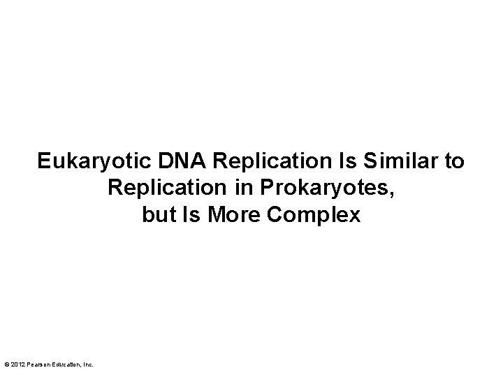 Eukaryotic DNA Replication Is Similar to Replication in Prokaryotes, but Is More Complex ©