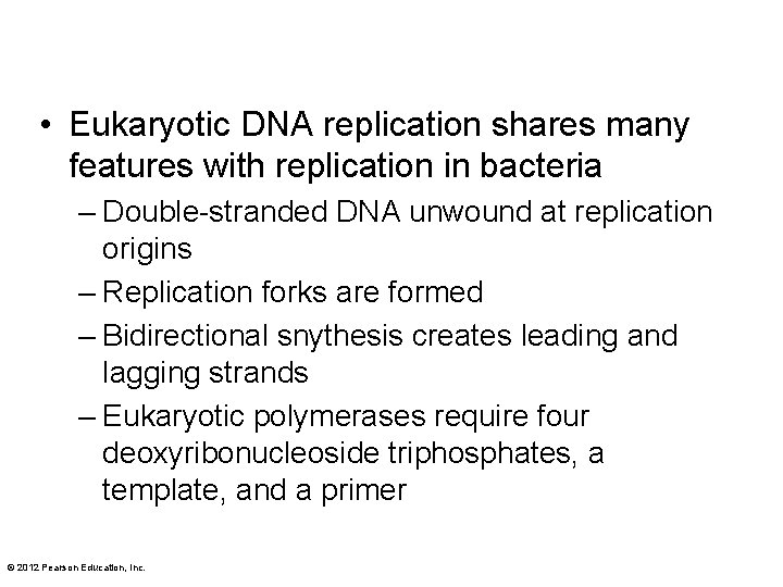  • Eukaryotic DNA replication shares many features with replication in bacteria – Double-stranded