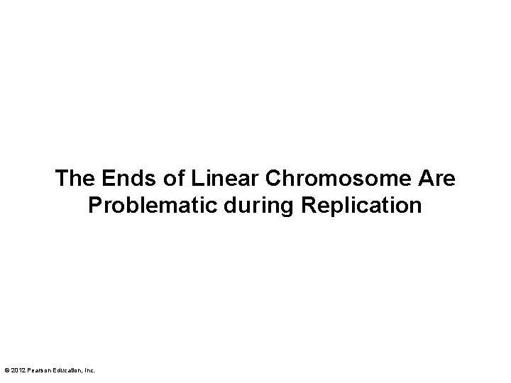 The Ends of Linear Chromosome Are Problematic during Replication © 2012 Pearson Education, Inc.