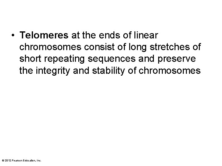  • Telomeres at the ends of linear chromosomes consist of long stretches of