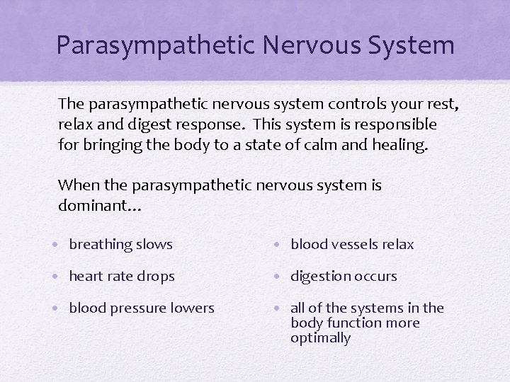Parasympathetic Nervous System The parasympathetic nervous system controls your rest, relax and digest response.