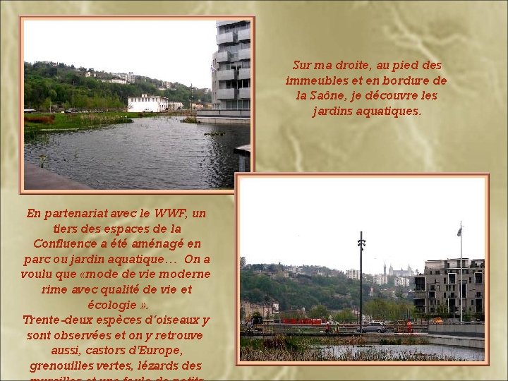 Sur ma droite, au pied des immeubles et en bordure de la Saône, je