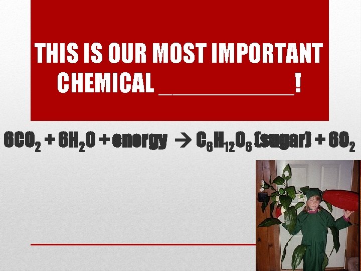 THIS IS OUR MOST IMPORTANT CHEMICAL _____! 6 CO 2 + 6 H 2