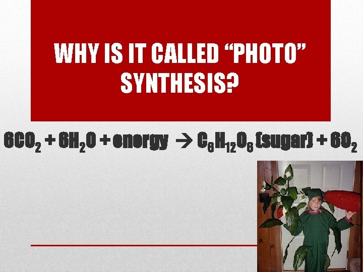 WHY IS IT CALLED “PHOTO” SYNTHESIS? 6 CO 2 + 6 H 2 O