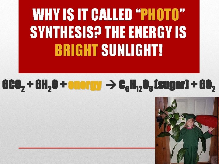 WHY IS IT CALLED “PHOTO” PHOTO SYNTHESIS? THE ENERGY IS BRIGHT SUNLIGHT! 6 CO WHY IS IT CALLED “PHOTO” PHOTO SYNTHESIS? THE ENERGY IS BRIGHT SUNLIGHT! 6 CO