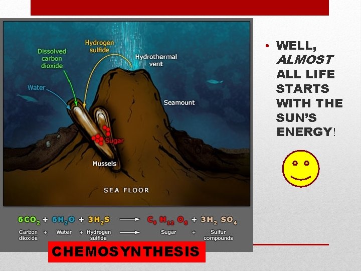  • WELL, ALMOST ALL LIFE STARTS WITH THE SUN’S ENERGY! CHEMOSYNTHESIS 