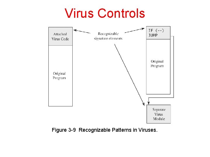 Virus Controls Figure 3 -9 Recognizable Patterns in Viruses. 