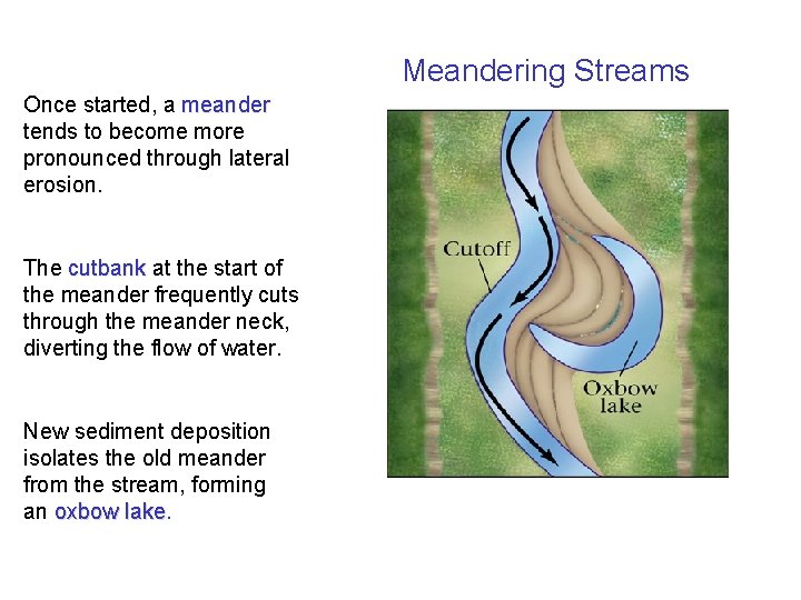 Meandering Streams Once started, a meander tends to become more pronounced through lateral erosion.