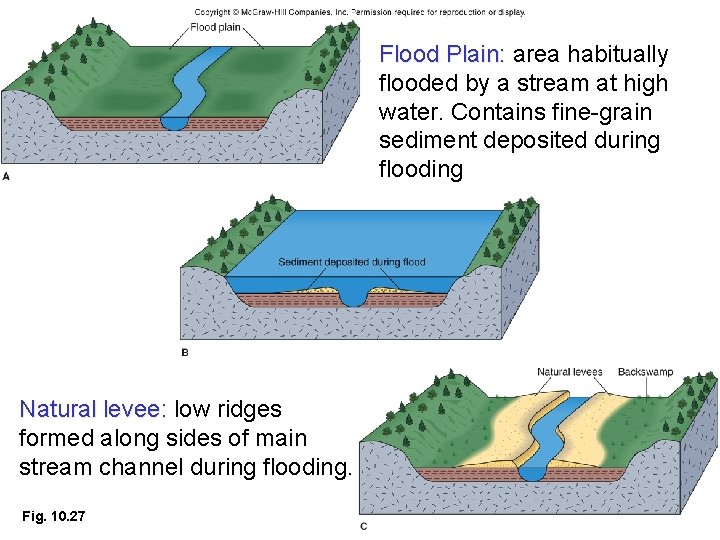 Flood Plain: area habitually flooded by a stream at high water. Contains fine-grain sediment