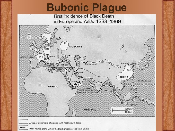Bubonic Plague Bubonic Plague