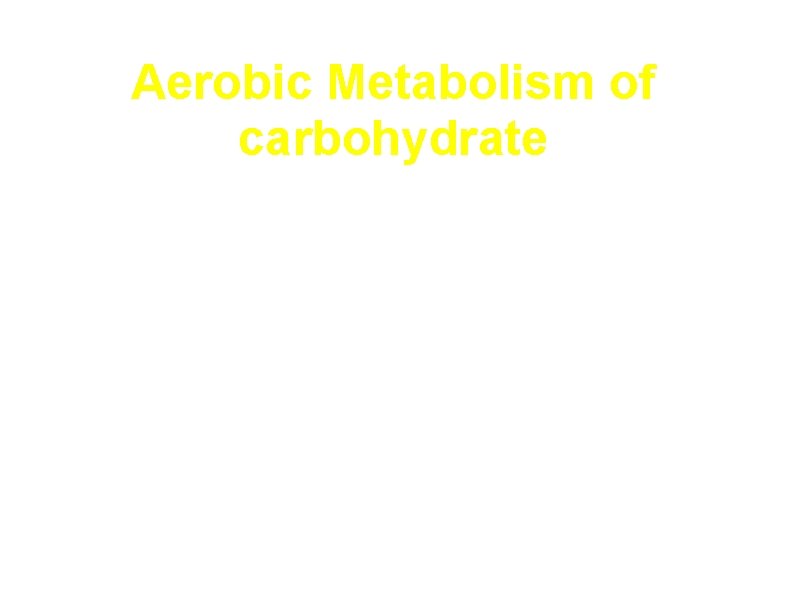 Aerobic Metabolism of carbohydrate 