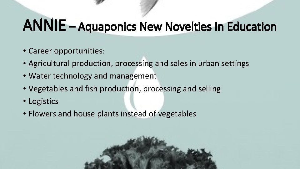 ANNIE – Aquaponics New Novelties In Education • Career opportunities: • Agricultural production, processing