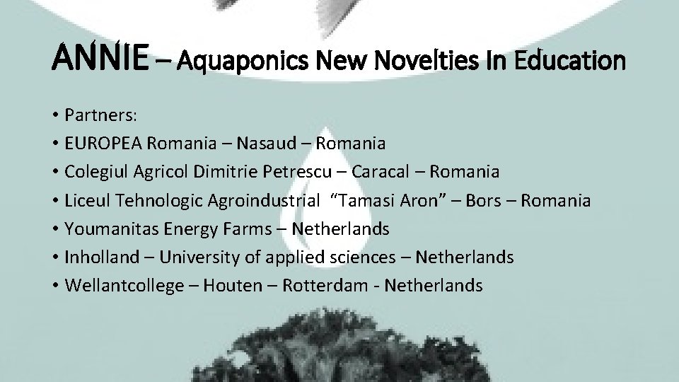 ANNIE – Aquaponics New Novelties In Education • Partners: • EUROPEA Romania – Nasaud