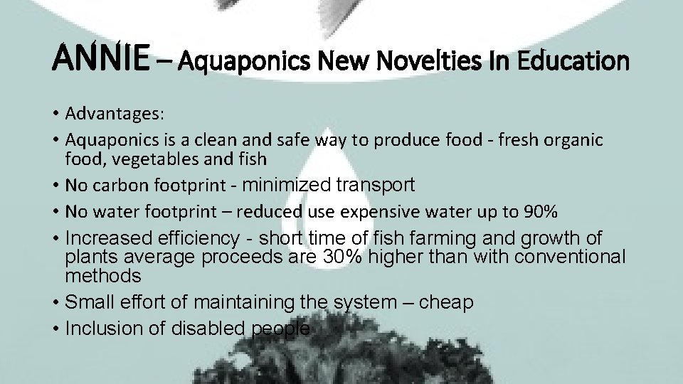ANNIE – Aquaponics New Novelties In Education • Advantages: • Aquaponics is a clean
