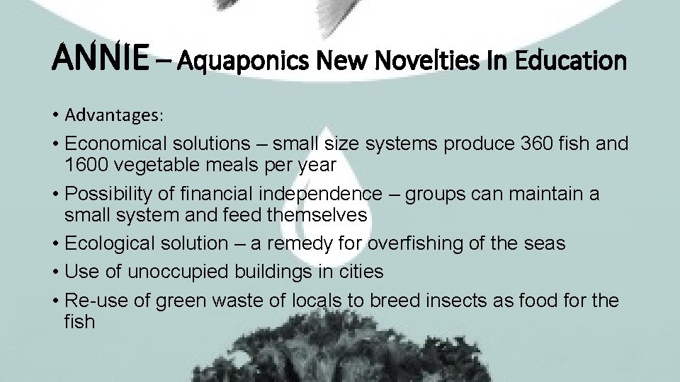 ANNIE – Aquaponics New Novelties In Education • Advantages: • Economical solutions – small