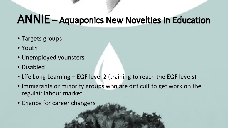 ANNIE – Aquaponics New Novelties In Education • Targets groups • Youth • Unemployed