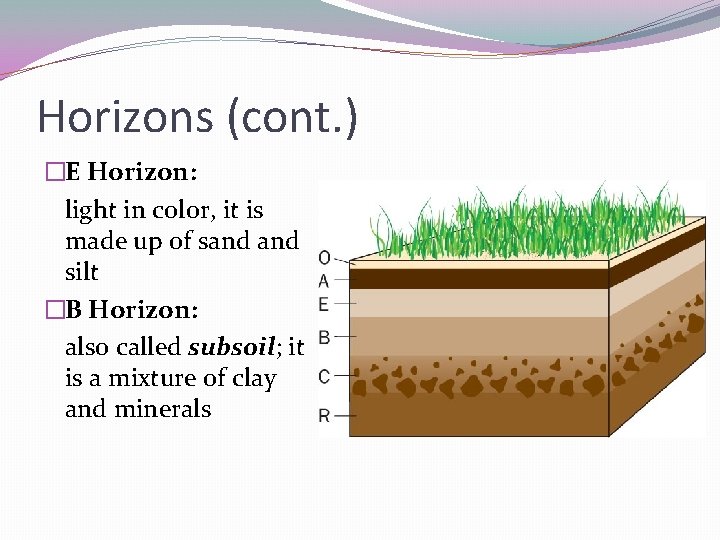 Horizons (cont. ) �E Horizon: light in color, it is made up of sand