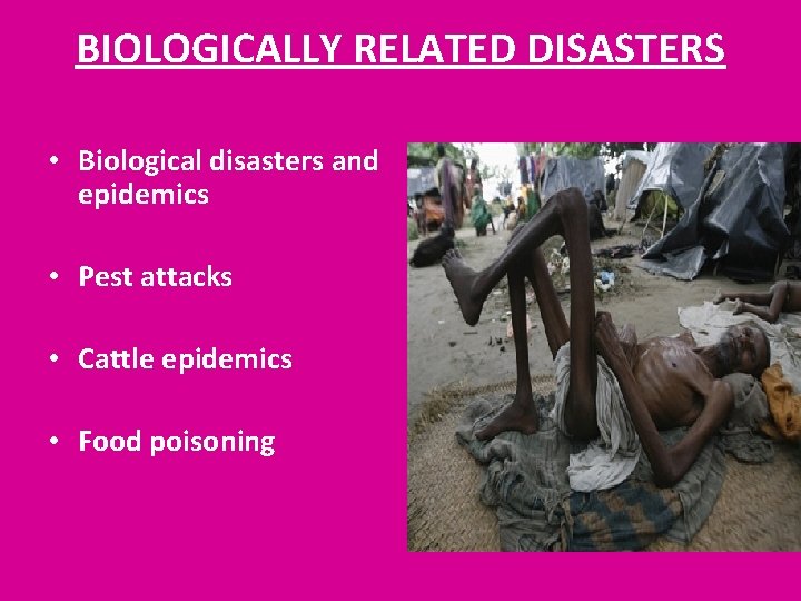 BIOLOGICALLY RELATED DISASTERS • Biological disasters and epidemics • Pest attacks • Cattle epidemics