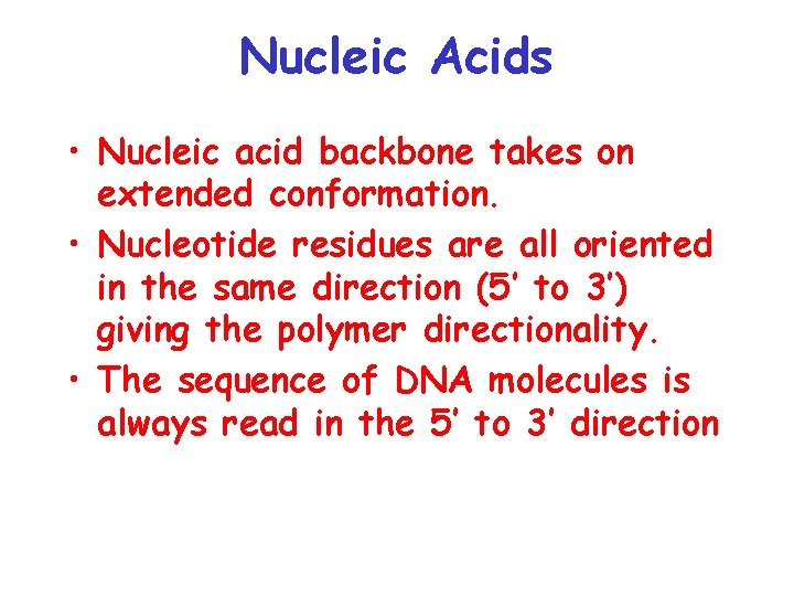 Nucleic Acids • Nucleic acid backbone takes on extended conformation. • Nucleotide residues are