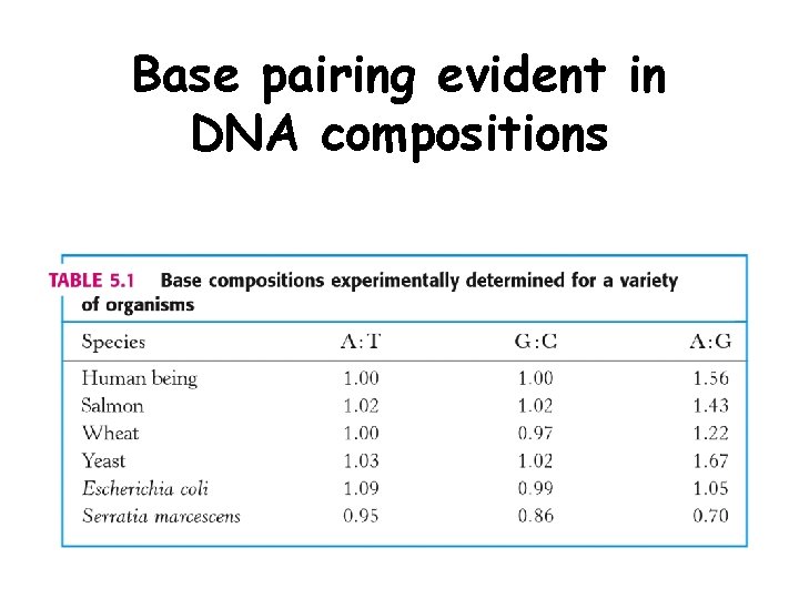 Base pairing evident in DNA compositions 